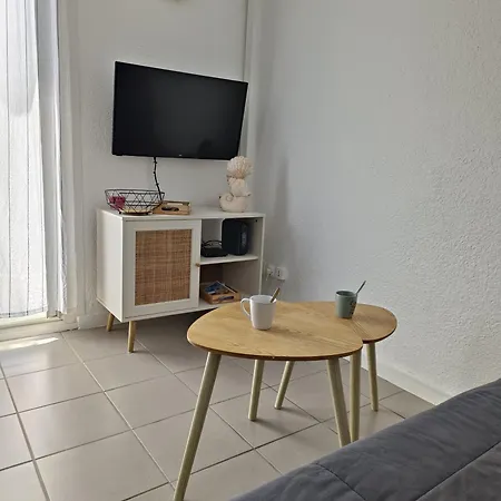 A 50m Terrasse, Clim & Parking Daire Le Barcarès